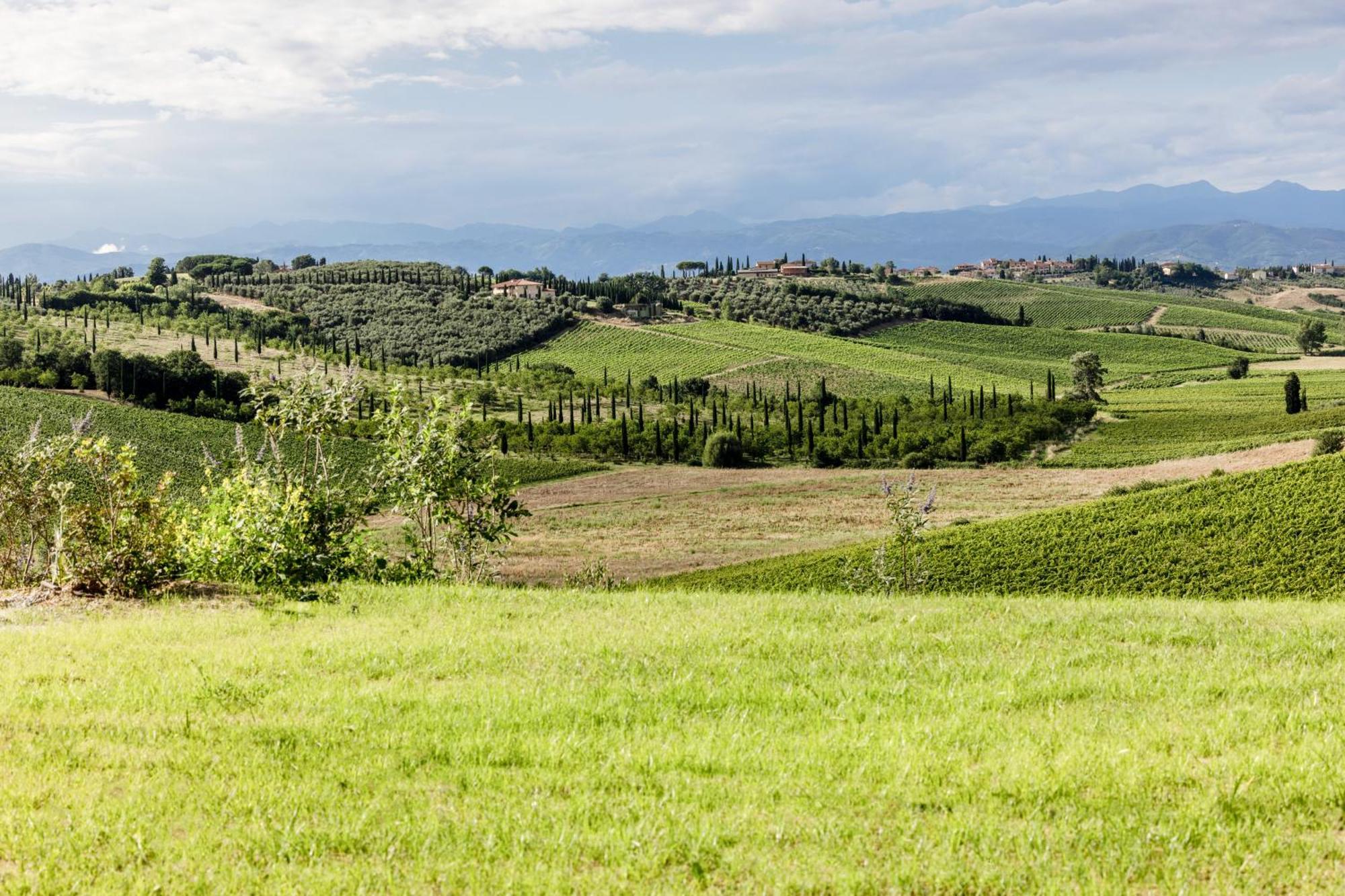 Colle Alberti Country House Черрето-Гвиди Экстерьер фото